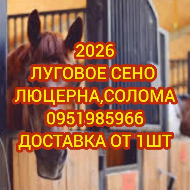 ‼️СІНО ДЕКОР СО ЛО МА  ДОСТАВКА от 1 шт, сено в тюках мешках суданки и др виды. — фото 2