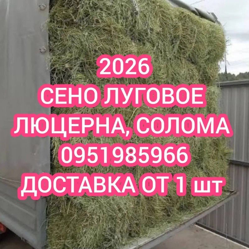 ‼️СІНО  ДОСТАВКА от 1 шт  в тюках мешках (кукурузне и др), сено. В наличии‼️ — фото 2