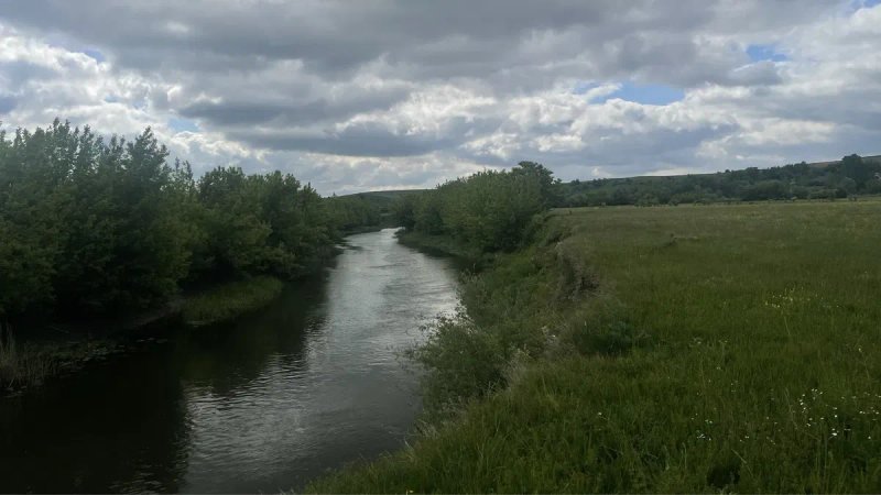 Сіно лугове для гризунів   Ароматне пакування 5 кг кг — фото 3
