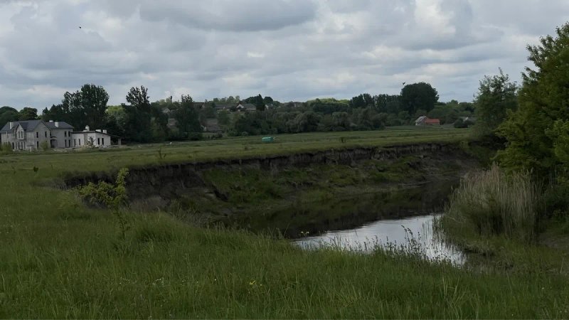 Сіно лугове для гризунів   Ароматне пакування 5 кг кг — фото 4