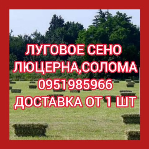 ‼️СІНО С ДОСТАВКОЙ от 1 шт в тюках мешках. Сено в тюках. Большие объёмы.