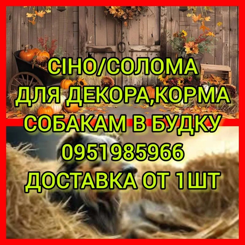 ‼️СІНО С ДОСТАВКОЙ от 1 шт  в тюках мешках. Сено в тюках. Большие объёмы. — фото 2