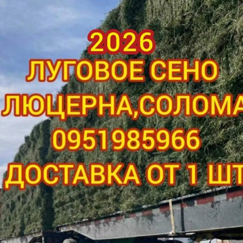 ‼️СІНО З ДОСТАВКОЮ от 1 шт в тюках мешках, сено (могары и др виды)‼️