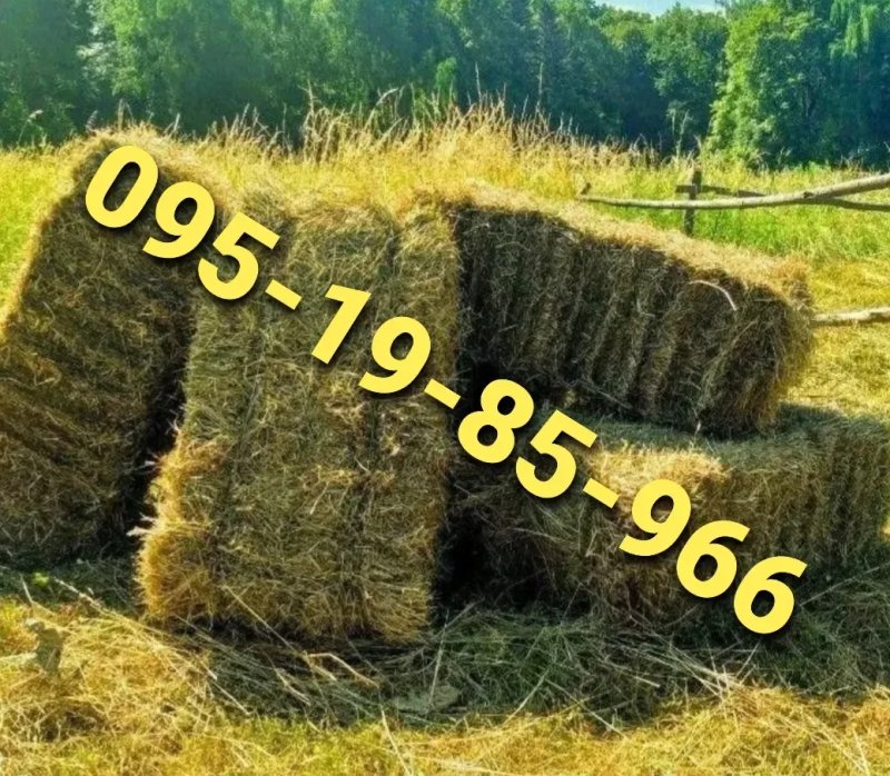 ‼️СІНО З ДОСТАВКОЮ от 1 шт   в тюках мешках, сено (могары и др виды)‼️ — фото 5