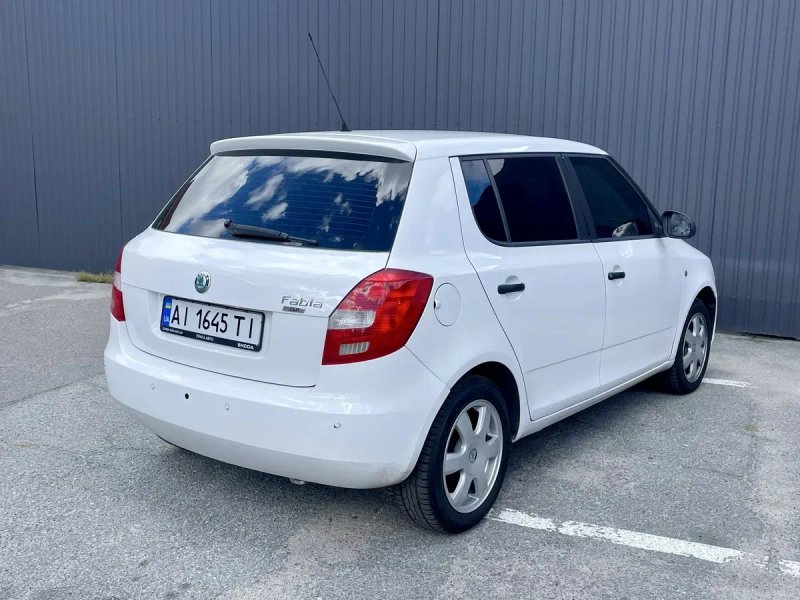 Skoda Fabia 1.6 TDi, 2010 — фото 3