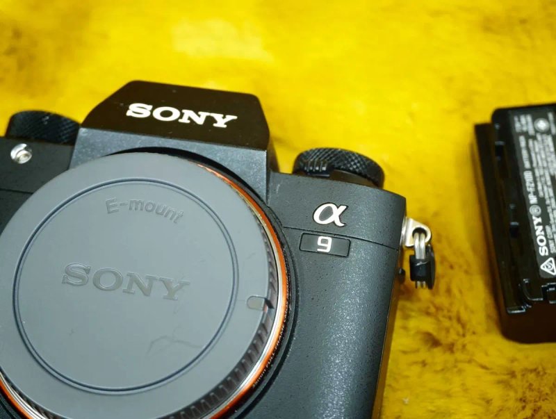 Sony a9 (ILCE-9) body -- ‼️Репортажний монстр ‼️-- 8355 кадрів -- 2 акумулятори! — фото 4