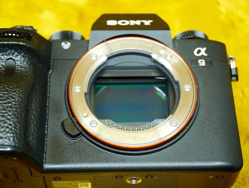 Sony a9 (ILCE-9) body -- ‼️Репортажний монстр ‼️-- 8355 кадрів -- 2 акумулятори! — фото 6