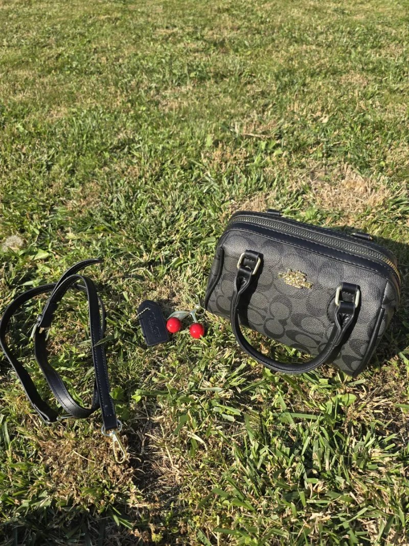 Сумка Coach Teri Mini Crossbody Bag With Cherry Print  коач тері — фото 6