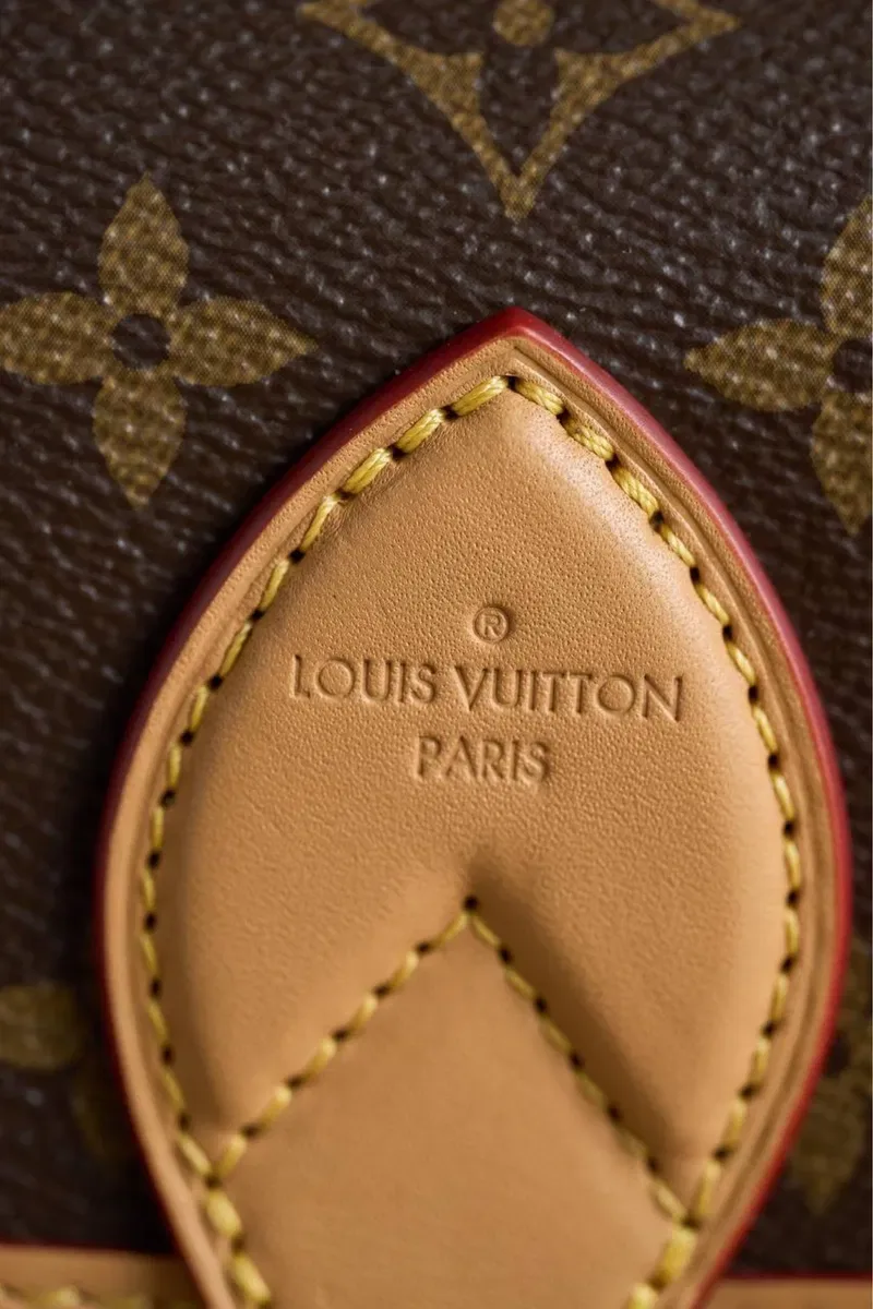 Сумка Louis Vuitton Diane повний комплект бутика премиум версия люкс сегмент натуральна шкіра і канва сумка жіноча — фото 7