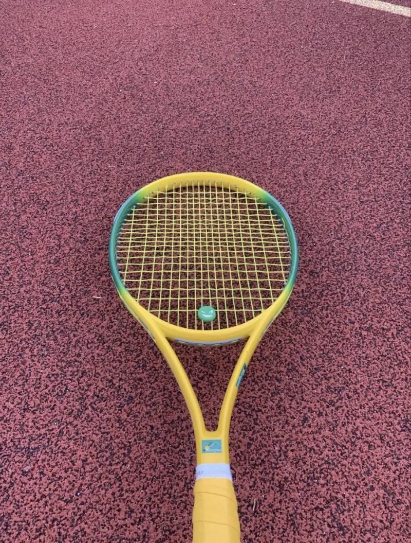 Теннисная ракетка Defereggental Pro (Wilson,babolat,yonex,head) — фото 2