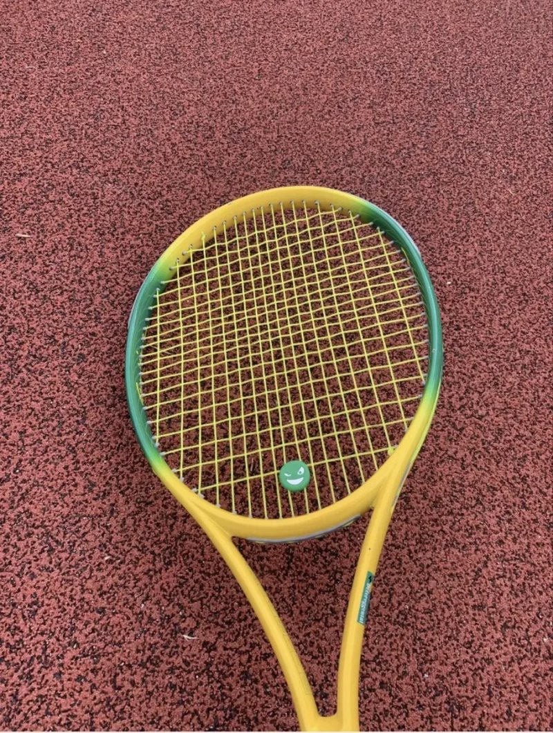 Теннисная ракетка Defereggental Pro (Wilson,babolat,yonex,head) — фото 6
