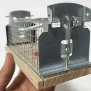 Пастка для мишей та щурів, Ловушка для мышей и крыс