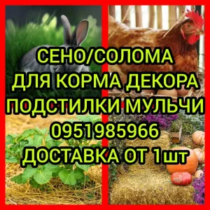 ‼️СІНО ДЕКОР КОРМ З ДОСТАВКОЮ від 1 штуки в тюках мішках, сено лісове. Для подстилки, мульчи.