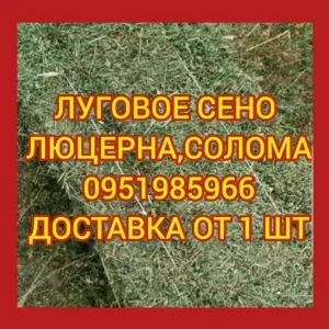 ‼️СЕНО С ДОСТАВКОЙ от 1 шт  в тюках мешках, сіно горное. Большие объёмы‼️