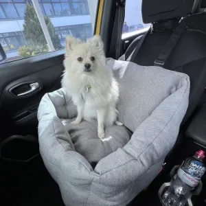 Автокрісло "BEIGE" для собак