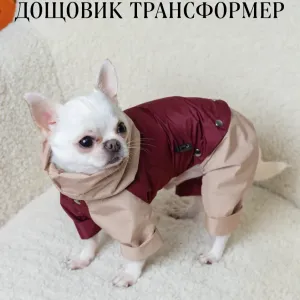 ДОЩОВИК для собаки одяг