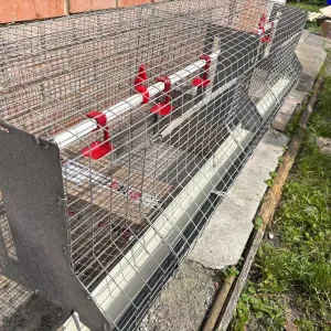 Клітка для бройлерів