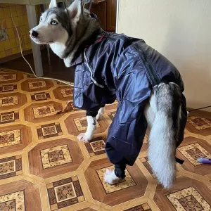 Дощовик для собак одяг