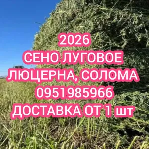 ‼️СІНО З ДОСТАВКОЮ от 1 шт, сено в тюках мешках (пырей). Большие объёмы. Отличное качество.