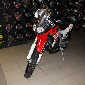 Loncin LX300GY-A DS2 PRO