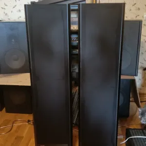 Акустика, колонки ARCUS TM99