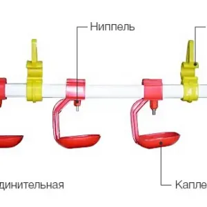 Ниппельное поение, система на 3, 4 или 5 ниппелей в сборе