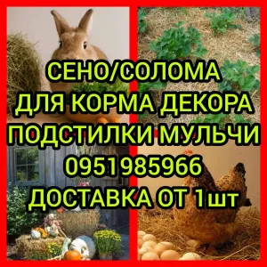 ‼️СОЛОМА ДЛЯ ДЕКОРА С ДОСТАВКОЙ от 1 шт в тюках мешках (клевер и др). Декор, корм, подстилка, мульча.