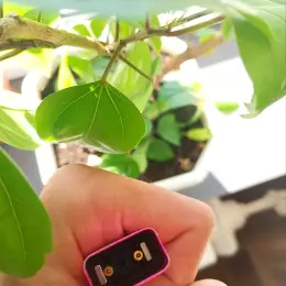Pod-система Xros 3 mini