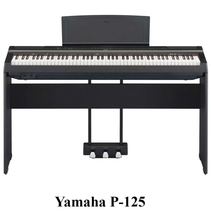 Цифрове піаніно Yamaha, Kurzweil, Casio: P-45, P-125, KA-130, M90 — фото 7