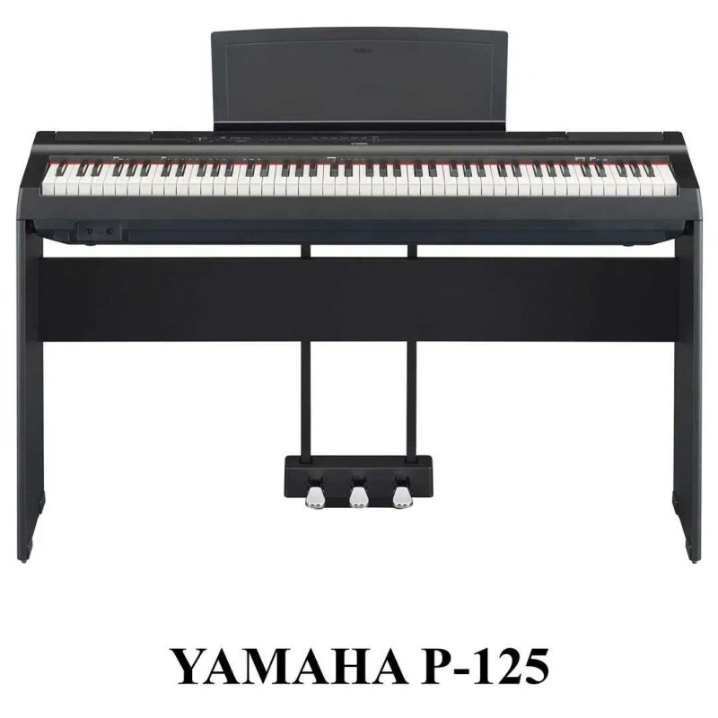 Цифрове піаніно Yamaha, Kurzweil, Casio: P-45, P-125, KA-130, M90 — фото 7
