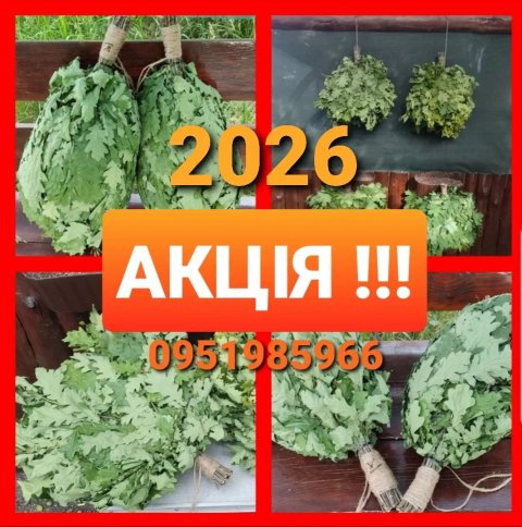‼️ВЕНИКИ дубовые Віники дубові для чана бани сауны‼️