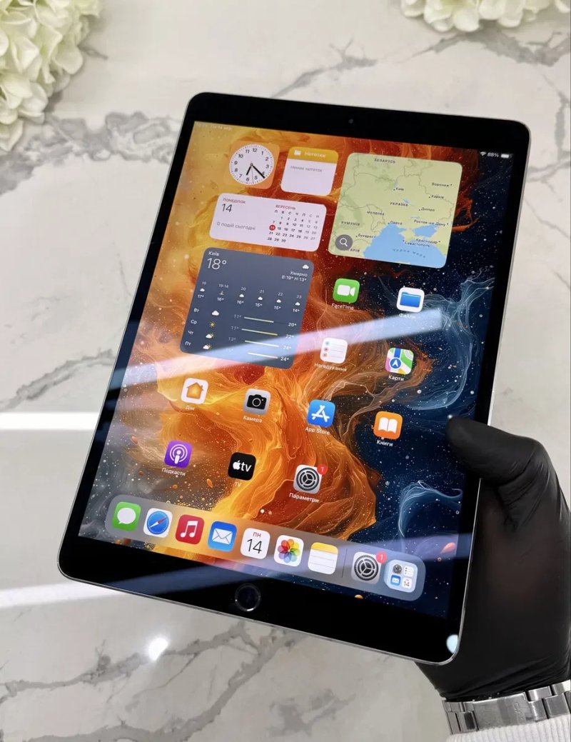 Як Новенький! iPad Pro-2 10.5 120Гц! 100%АКБ Neverlock (Магазин Гарантія) — фото 2