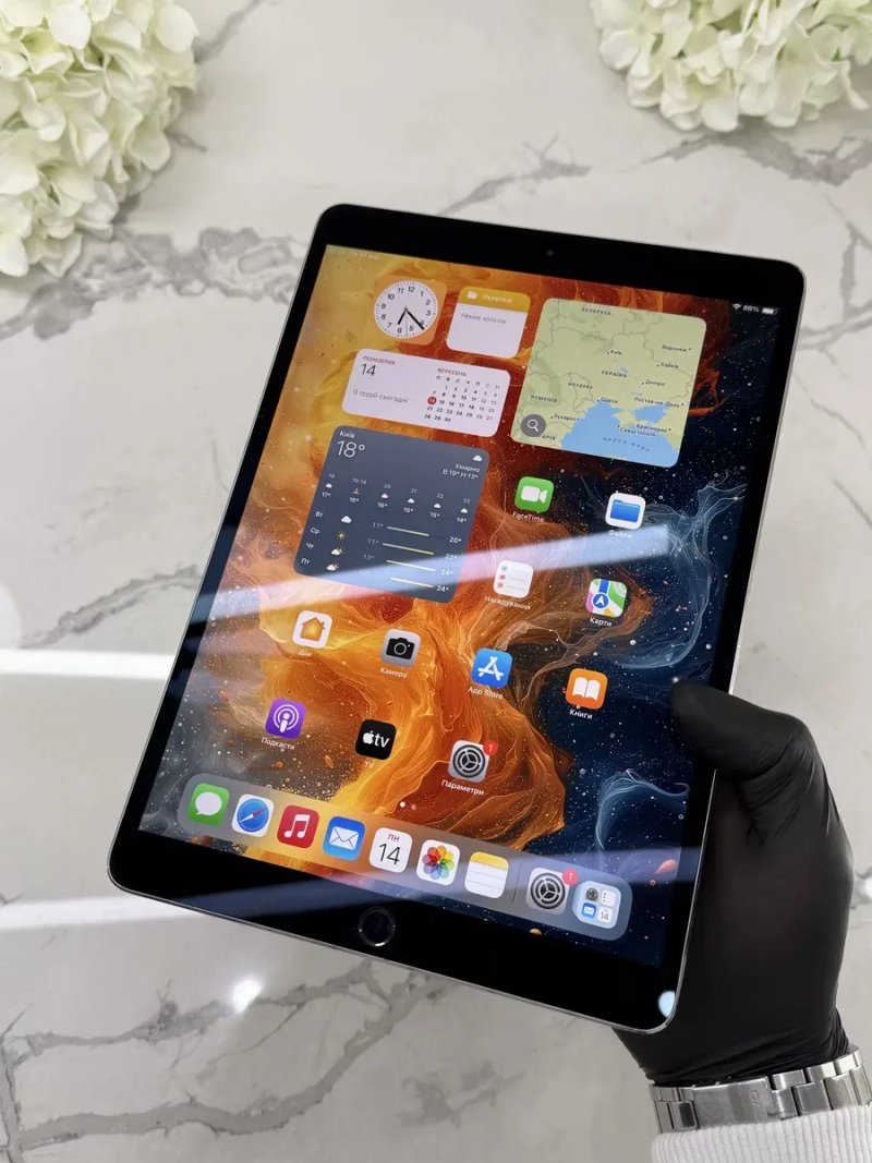 Як Новенький! iPad Pro-2 10.5 120Гц! 100%АКБ Neverlock (Магазин Гарантія) — фото 3