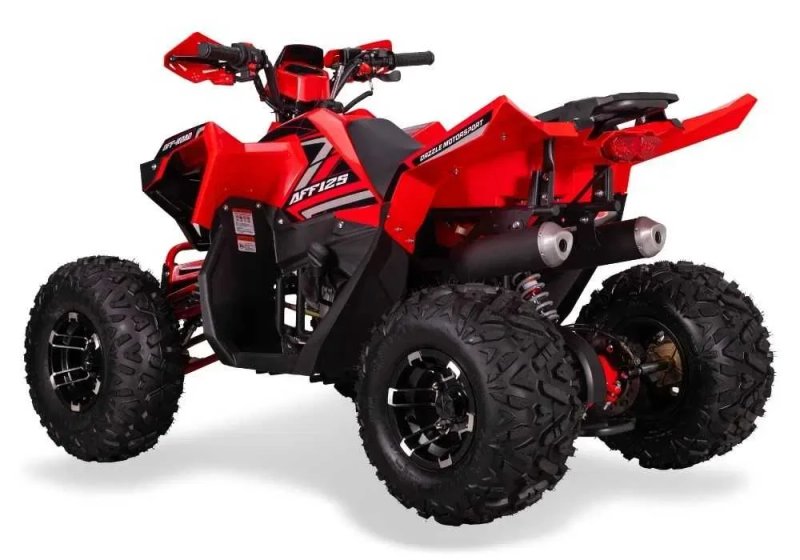 якісний квадроцикл Sport Energy AFF 125 ексклюзивно в Артмото! — фото 6