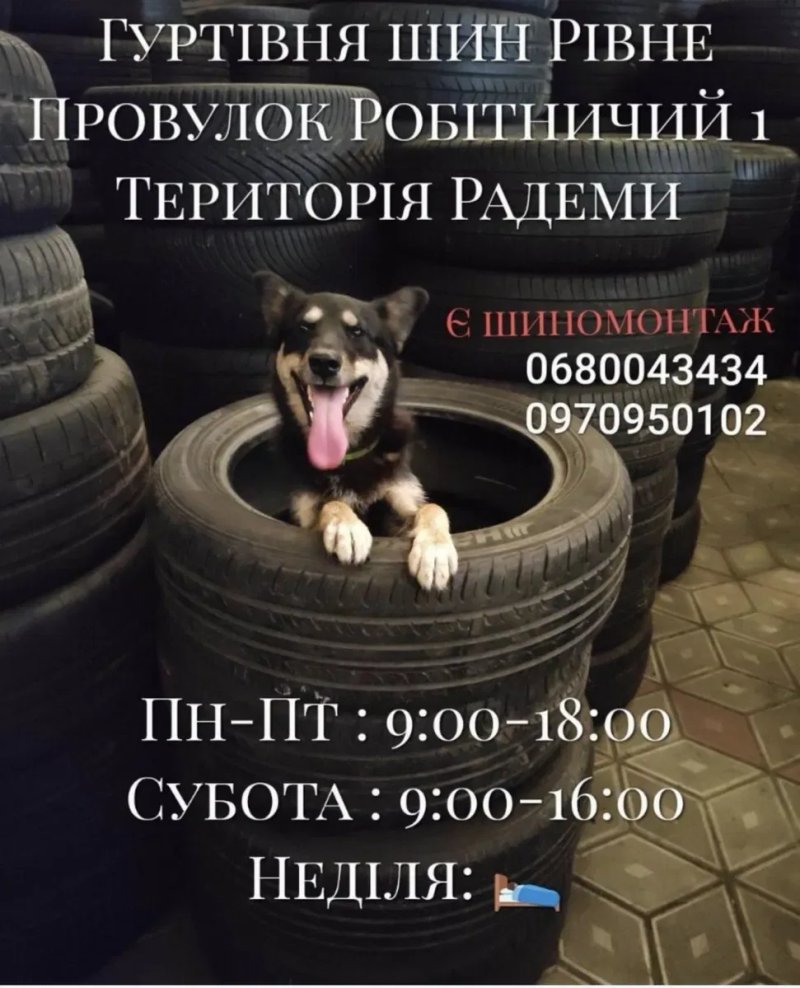 235/75R15 Nexen (2шт) — фото 8