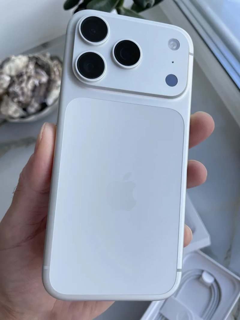Apple iPhone 17 Pro Silver 256 Gb Never Lock — фото 2