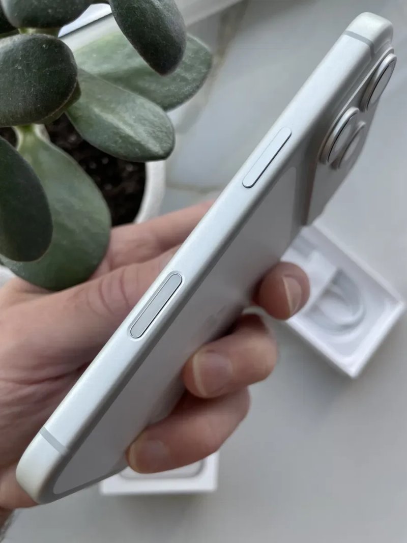 Apple iPhone 17 Pro Silver 256 Gb Never Lock — фото 5