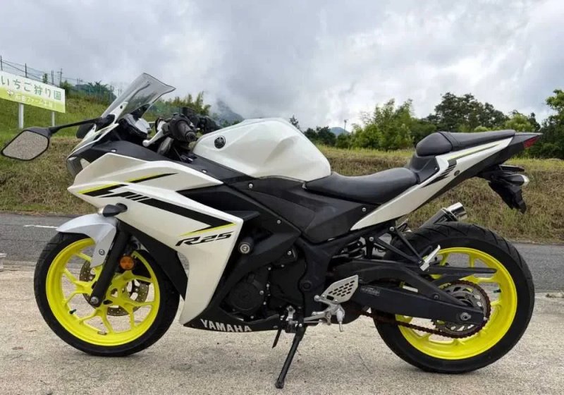 Без пробігу по Україні! Мотоцикл YAMAHA YZF-R25 2018 з Японії в наявності в Артмото — фото 2