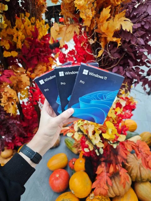 Боксова Windows 11 Professional USB BOX Оригінал | Ліцензія | Коробка