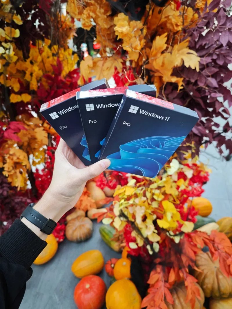 Боксова Windows 11 Professional USB BOX Оригінал | Ліцензія | Коробка — фото 2