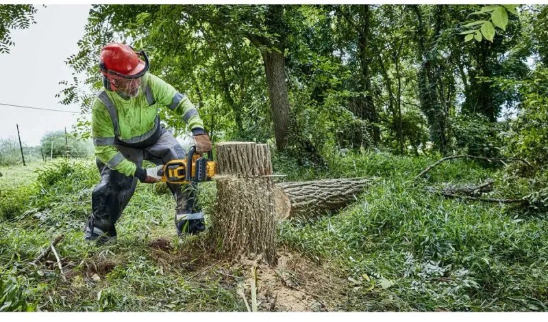 DeWALT DCMCS574 каркас  \ шина 45cм\flex volt — фото 6