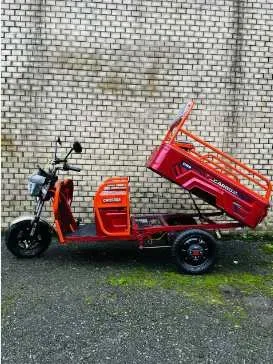 Електротрицикл вантажний Crosser CARGO 12 60V/32Ah/1000W 2025-Червоний — фото 6