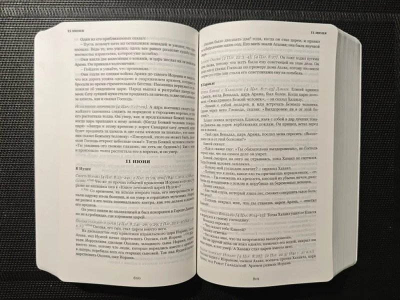 Ежедневная Библия. Хронологическое расположение текста. 365 смысловых отрывков — фото 3