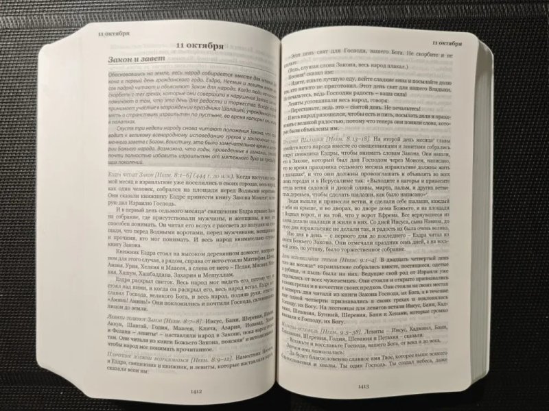 Ежедневная Библия. Хронологическое расположение текста. 365 смысловых отрывков — фото 4