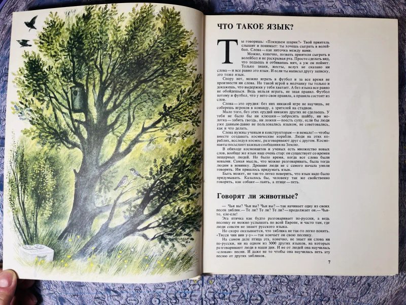 Фолсом: Книга о языке / языкознание, лингвистика, азбука, шрифт, история языка, расы и народы, происхождение человека — фото 4