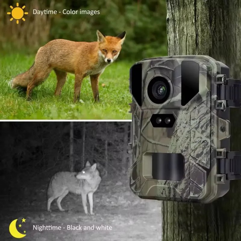 Фотоловушка Suntek Mini 800 24 Мп 1080P ночное видение датчик движения — фото 6