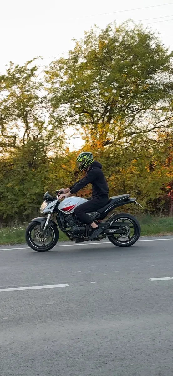 Honda cb600 hornet 2010 — фото 2