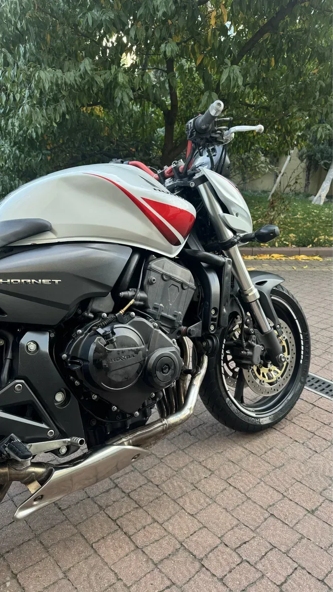 Honda cb600 hornet 2010 — фото 8