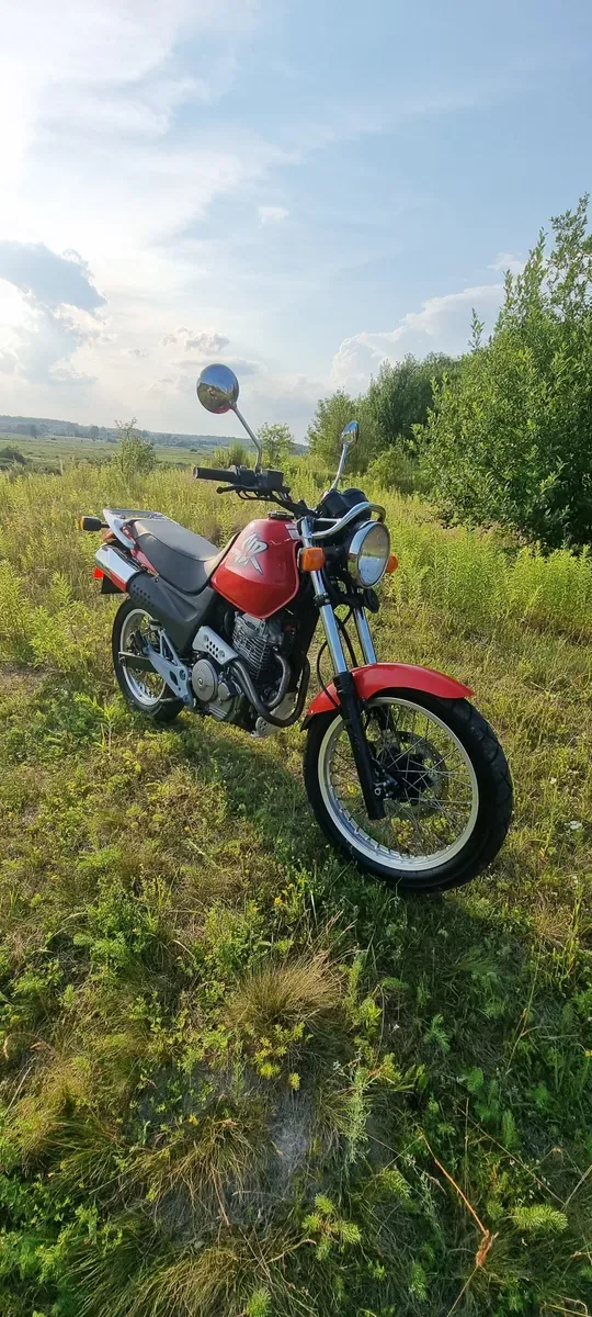 Honda SLR 650 Кубиків Мото — фото 4