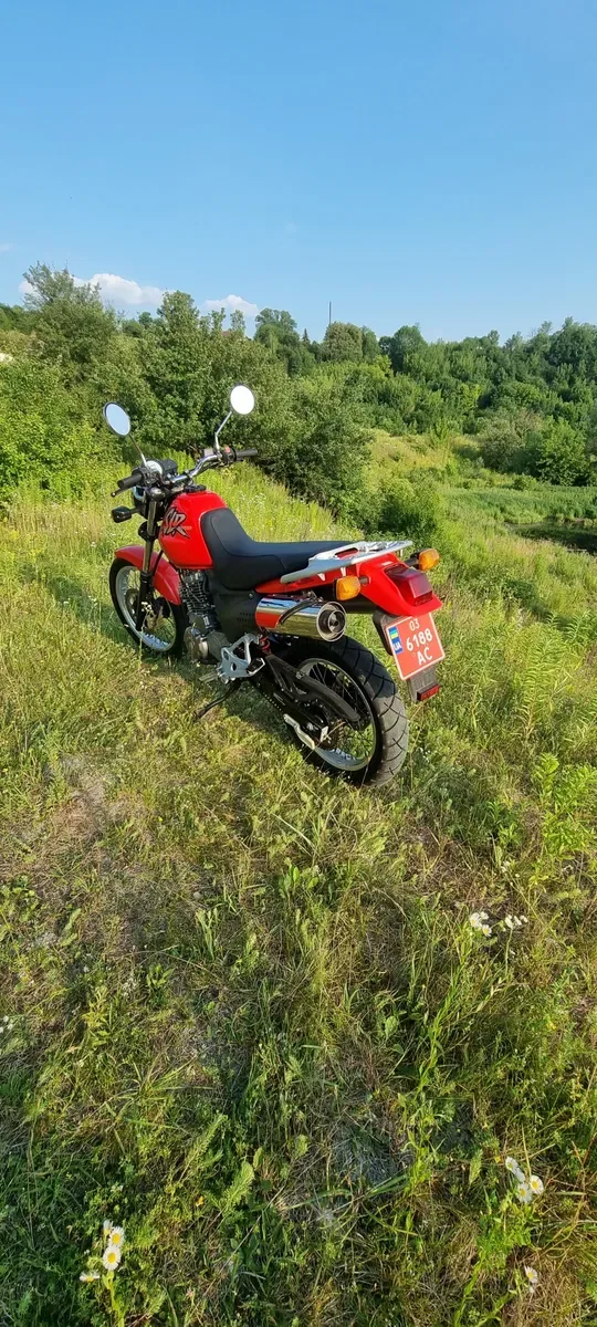 Honda SLR 650 Кубиків Мото — фото 7